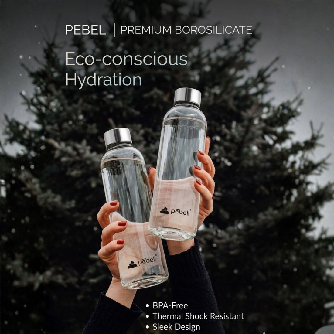 Borosilicate Glass Water Bottle (Set of 2)