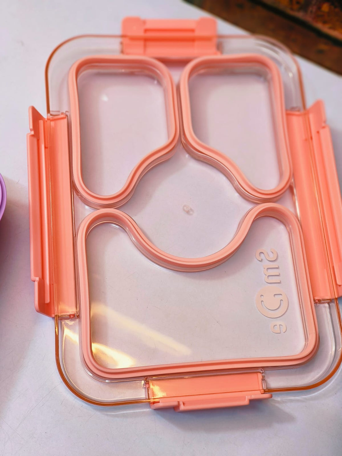 Leakproof Bento Customized Steel Lunch Box New| 3 compartments - Food Container, Chopstick & Spoon