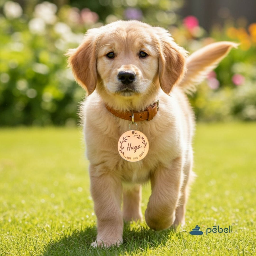 Custom Acrylic Pet Name Tag