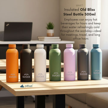 Custom Logo Insulated Steel Water Bottles | 500ml
